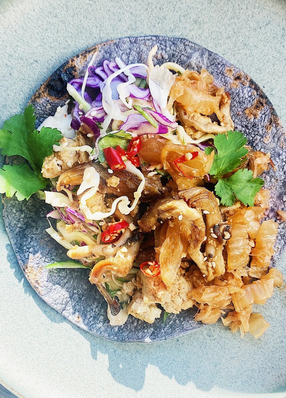 crispy mushroom & tofu taco
