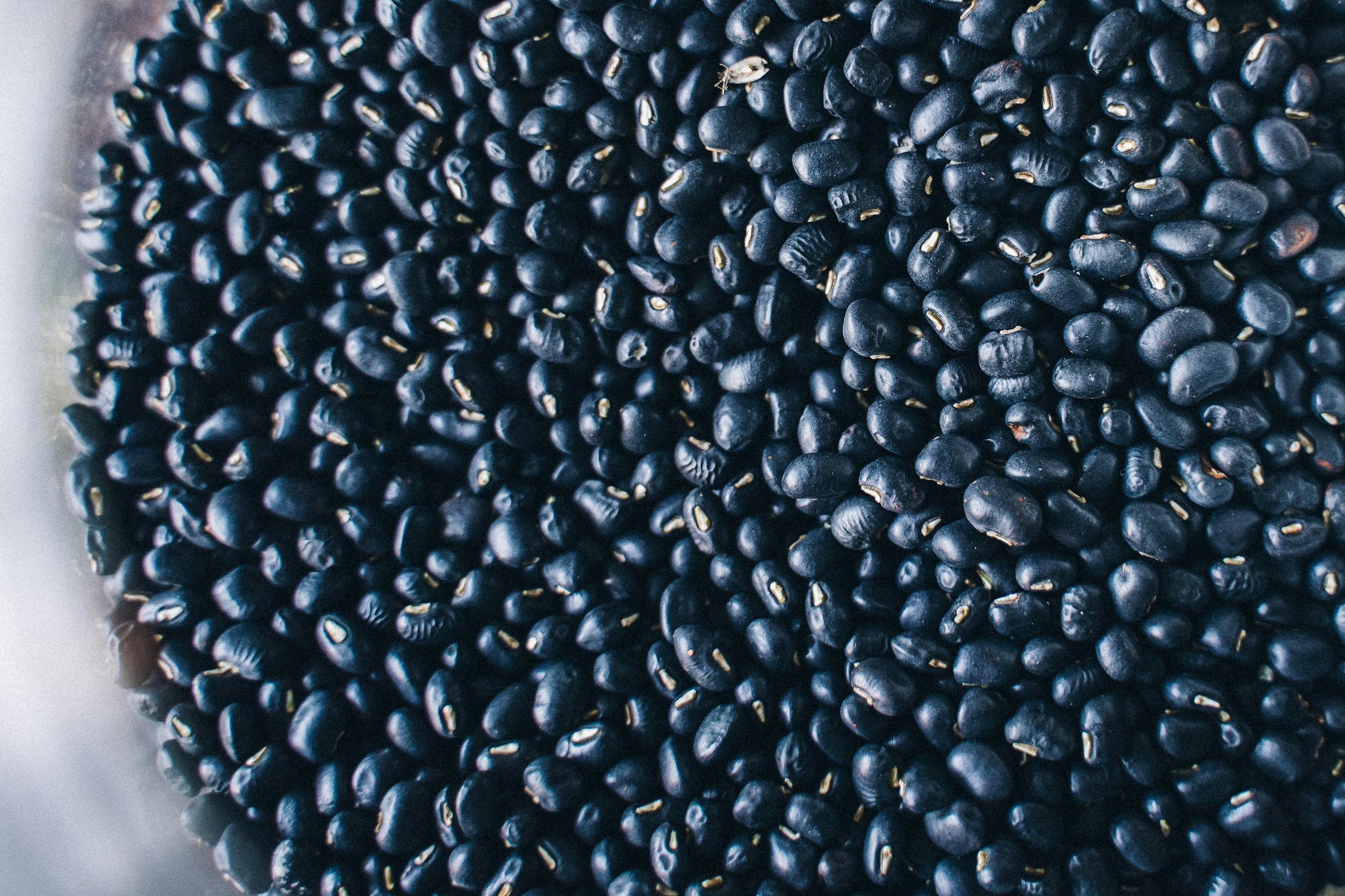 High-resolution close-up of nutritious organic black beans, perfect for healthy recipes.